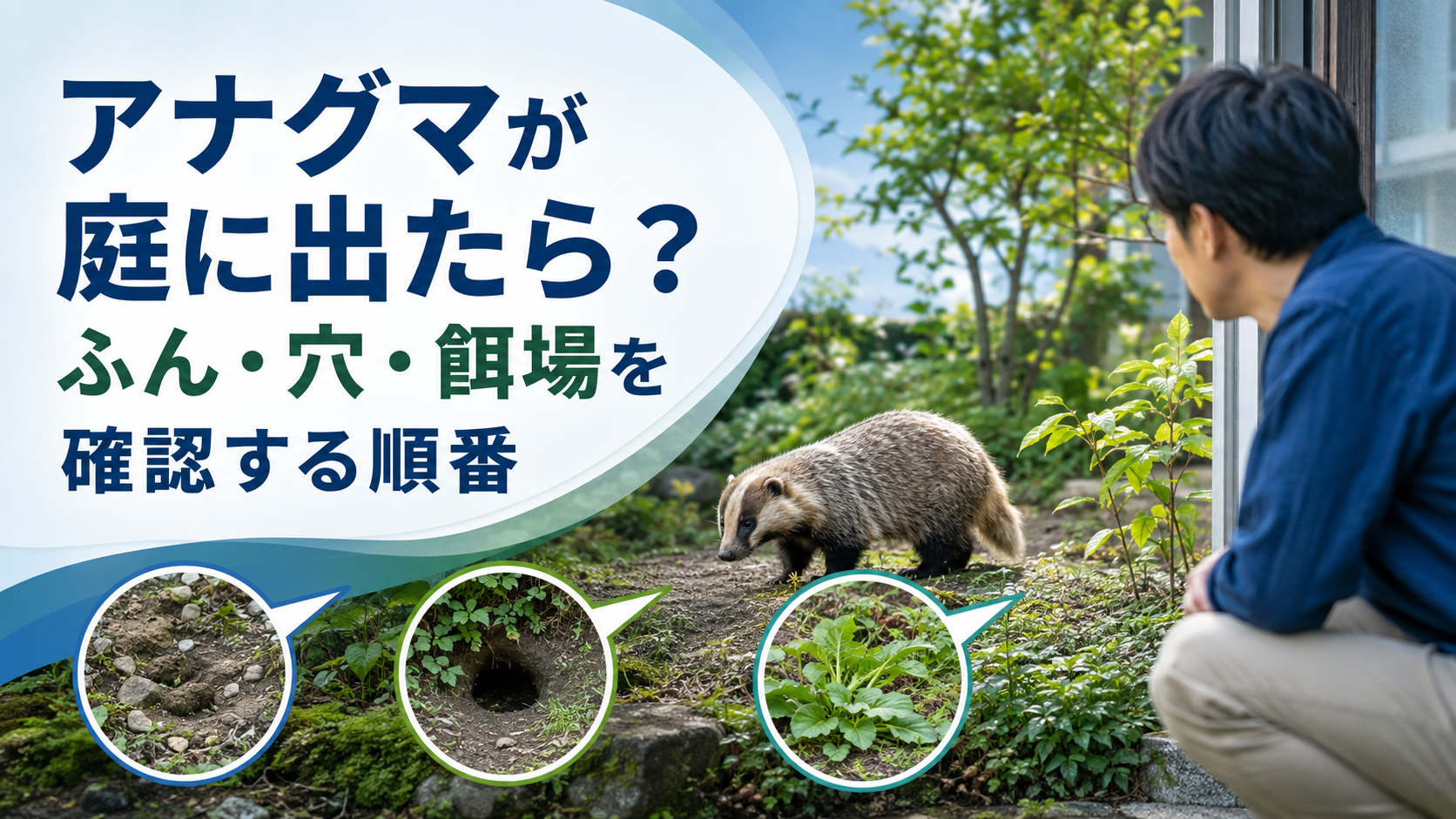 アナグマのふん・穴を庭で見つけたら？種類を断定せず確認する順番