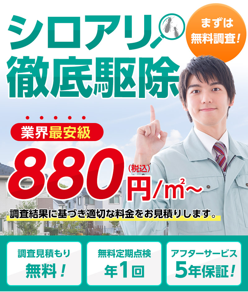 シロアリ駆除のキャッツ公式サイト掲載ビジュアル