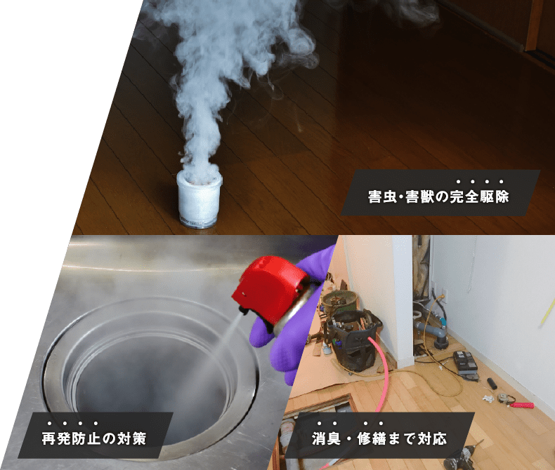 EMEAO!の公式サイト掲載ビジュアル（害虫・害獣駆除業者紹介サービス）