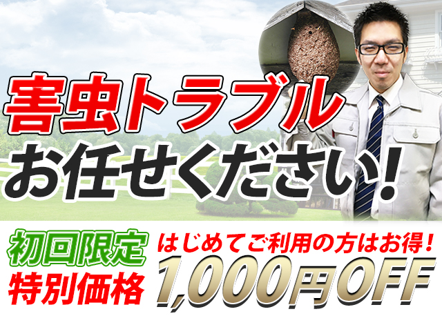 ムシプロテックの公式LP掲載ビジュアル
